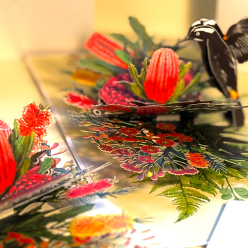 New Holland Honeyeater Attracting Australian Native Flowers - Red Waratah & Bottlebrush Origami Pop Cards 3D Pop Up Greeting Card Celebrate Happy Birthday Thank You Handmade Best Wishes Blank Card for Any Occasion Happy Mother's Day Happy Father's Day