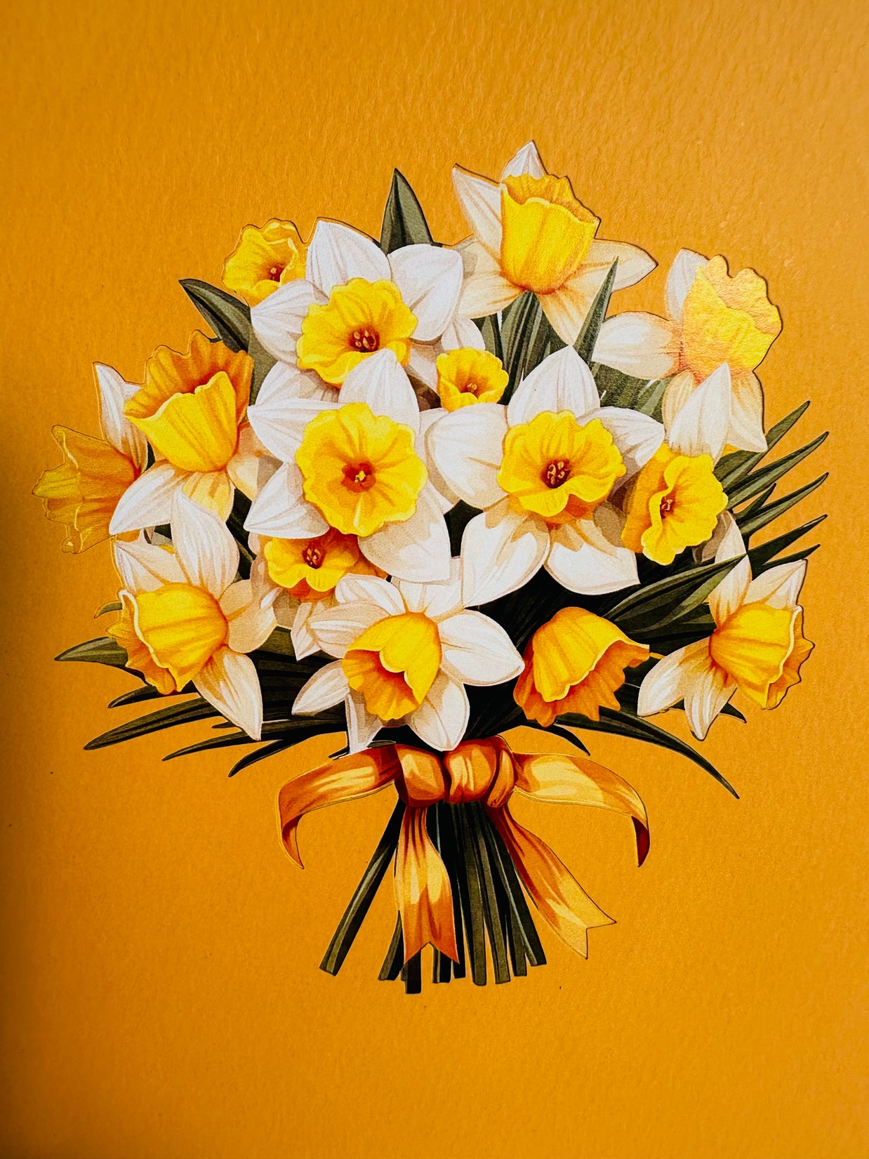 ORANGE Cover - Daffodil Bloom Flower Bouquet Origami Pop Cards 3D Pop Up Greeting Card Happy Birthday Thank You Handmade Gift Thinking of You Blank Card for Any Occasion Happy Mother's Day Happy Father's Australiana Celebrate the Beauty of Flower