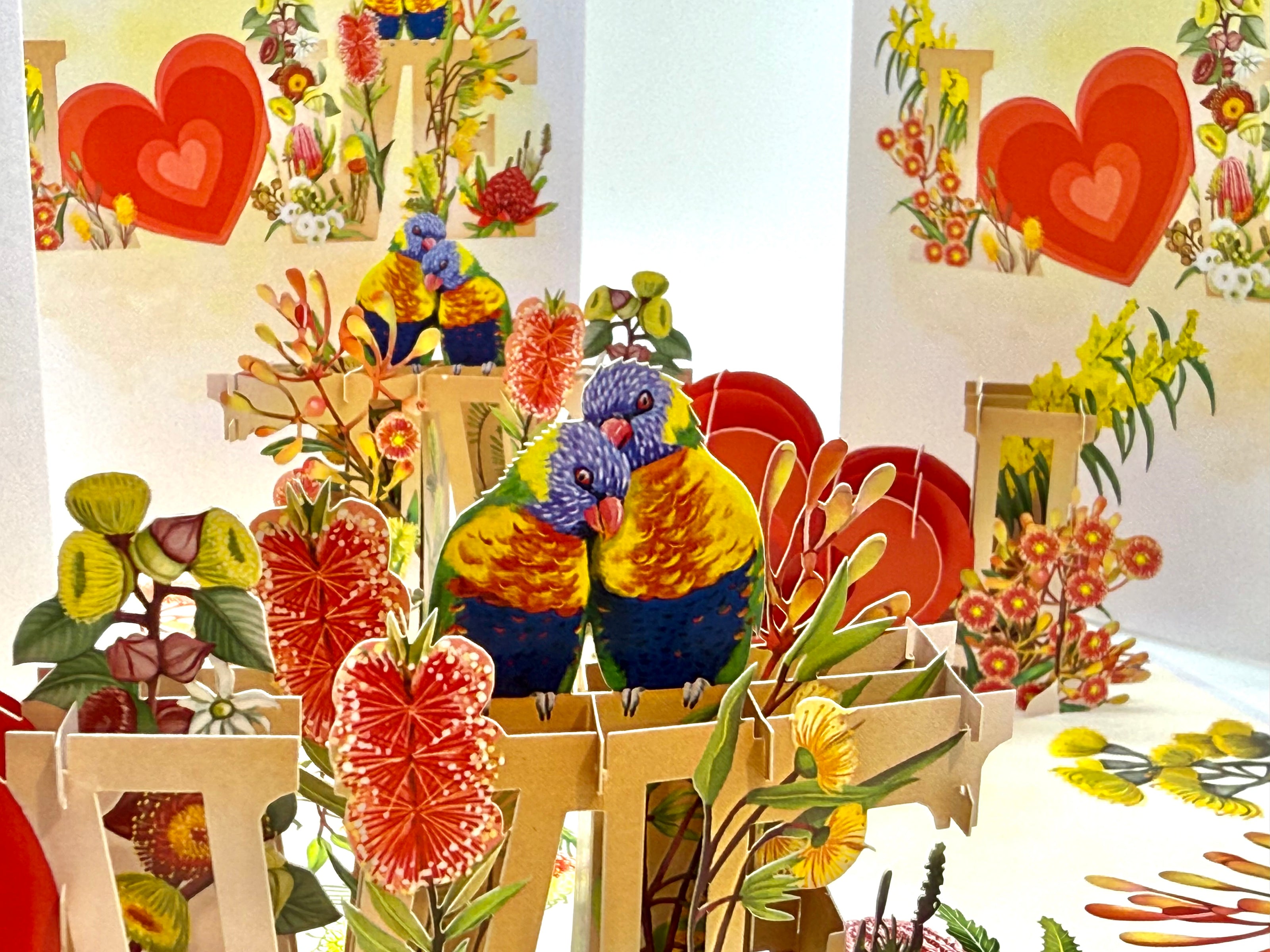 Rainbow Lorikeet LOVE Birds with Australian Native Flowers 3D POP UP GREETING CARD - Created by Origami Pop Cards Australian Design & Handmade 3D Pop Up Magical Paper Cards, Handmade Pop Up Cards Celebrate Love Anniversary Heart Fell and Romantic