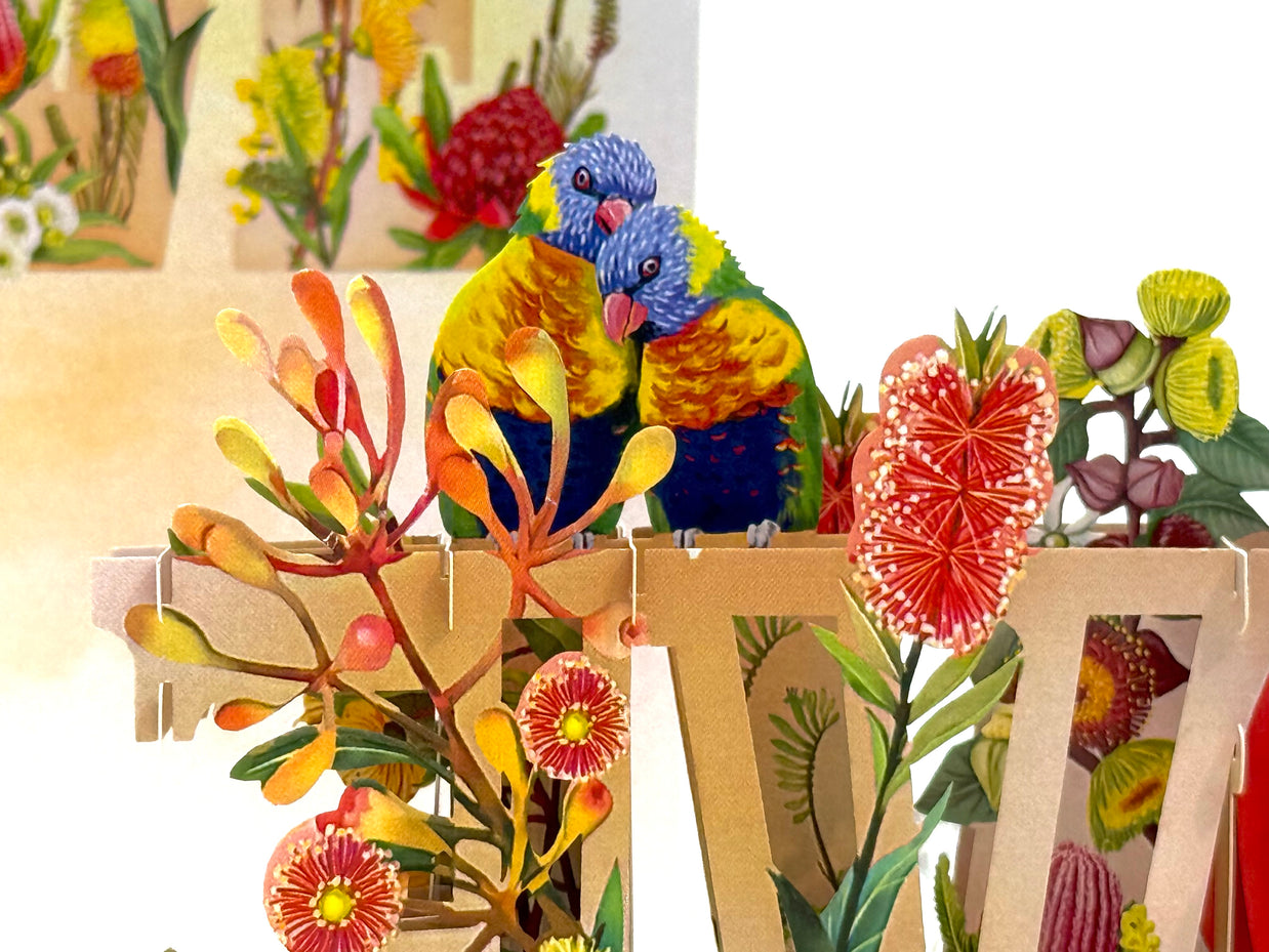 Rainbow Lorikeet LOVE Birds with Australian Native Flowers 3D POP UP GREETING CARD - Created by Origami Pop Cards Australian Design & Handmade 3D Pop Up Magical Paper Cards, Handmade Pop Up Cards Celebrate Love Anniversary Heart Fell and Romantic