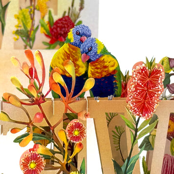 Rainbow Lorikeet LOVE Birds with Australian Native Flowers 3D POP UP GREETING CARD - Created by Origami Pop Cards Australian Design & Handmade 3D Pop Up Magical Paper Cards, Handmade Pop Up Cards Celebrate Love Anniversary Heart Fell and Romantic