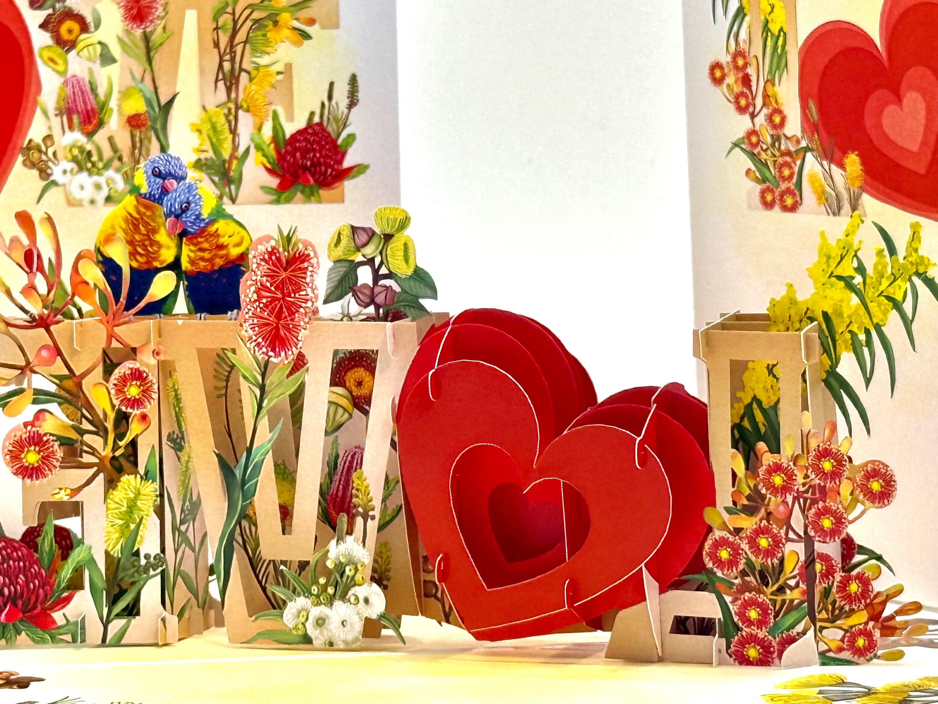 Rainbow Lorikeet LOVE Birds with Australian Native Flowers 3D POP UP GREETING CARD - Created by Origami Pop Cards Australian Design & Handmade 3D Pop Up Magical Paper Cards, Handmade Pop Up Cards Celebrate Love Anniversary Heart Fell and Romantic