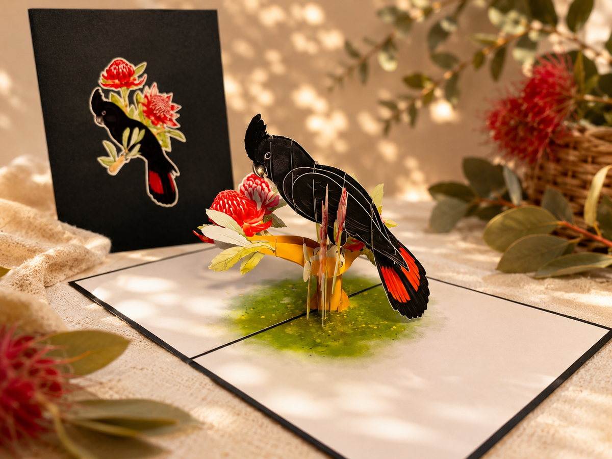 Red-Tailed Black Cockatoo with Red Waratahs - Australian Bird Origami Pop Cards 3D Pop Up Greeting Card Happy Birthday Thank You Handmade Gift Thinking of You Blank Card for Any Occasion Happy Mother's Day Happy Father's Australiana Birds