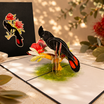 Red-Tailed Black Cockatoo with Red Waratahs - Australian Bird Origami Pop Cards 3D Pop Up Greeting Card Happy Birthday Thank You Handmade Gift Thinking of You Blank Card for Any Occasion Happy Mother's Day Happy Father's Australiana Birds