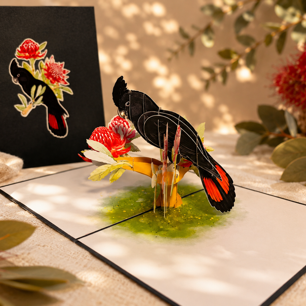 Red-Tailed Black Cockatoo with Red Waratahs - Australian Bird Origami Pop Cards 3D Pop Up Greeting Card Happy Birthday Thank You Handmade Gift Thinking of You Blank Card for Any Occasion Happy Mother's Day Happy Father's Australiana Birds