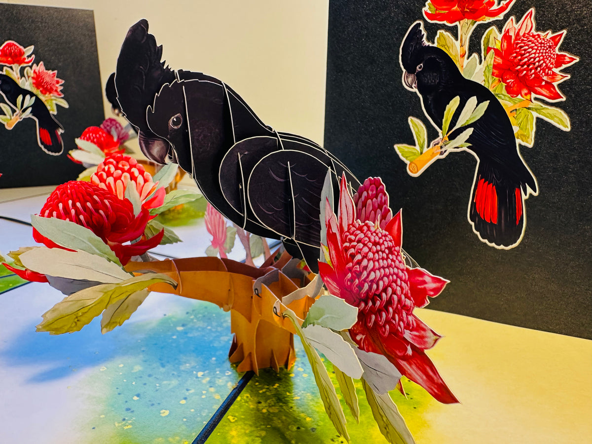 Red-Tailed Black Cockatoo with Red Waratahs - Australian Bird Origami Pop Cards 3D Pop Up Greeting Card Happy Birthday Thank You Handmade Gift Thinking of You Blank Card for Any Occasion Happy Mother's Day Happy Father's Australiana Birds
