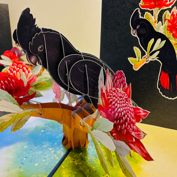 Red-Tailed Black Cockatoo with Red Waratahs - Australian Bird Origami Pop Cards 3D Pop Up Greeting Card Happy Birthday Thank You Handmade Gift Thinking of You Blank Card for Any Occasion Happy Mother's Day Happy Father's Australiana Birds