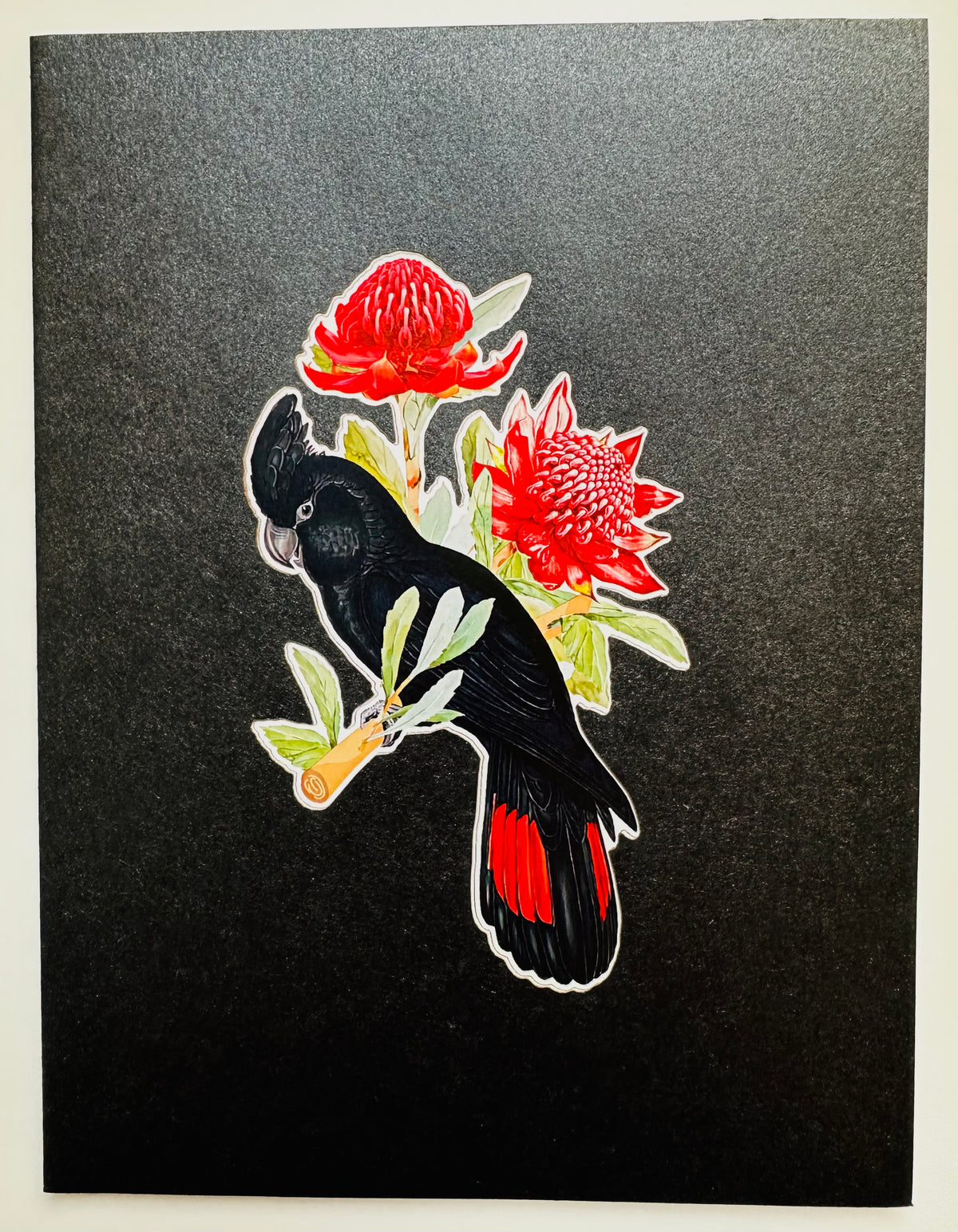 Red-Tailed Black Cockatoo with Red Waratahs - Australian Bird Origami Pop Cards 3D Pop Up Greeting Card Happy Birthday Thank You Handmade Gift Thinking of You Blank Card for Any Occasion Happy Mother's Day Happy Father's Australiana Birds