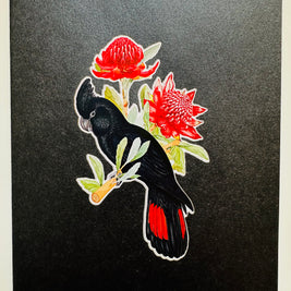 Red-Tailed Black Cockatoo with Red Waratahs - Australian Bird Origami Pop Cards 3D Pop Up Greeting Card Happy Birthday Thank You Handmade Gift Thinking of You Blank Card for Any Occasion Happy Mother's Day Happy Father's Australiana Birds