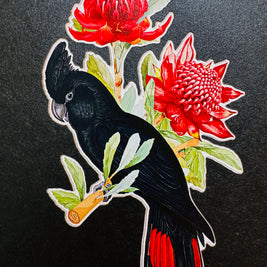 Red-Tailed Black Cockatoo with Red Waratahs - Australian Bird Origami Pop Cards 3D Pop Up Greeting Card Happy Birthday Thank You Handmade Gift Thinking of You Blank Card for Any Occasion Happy Mother's Day Happy Father's Australiana Birds