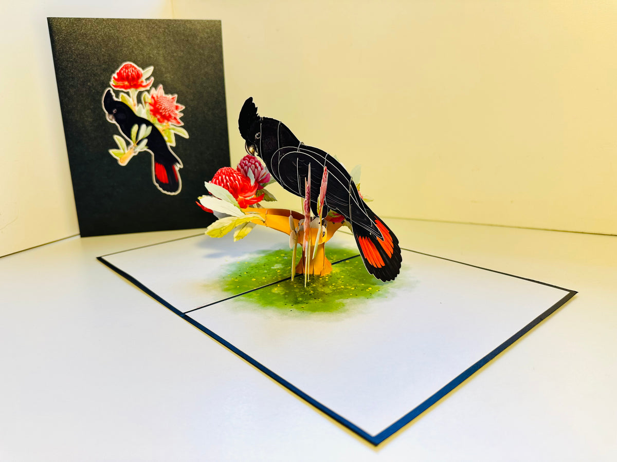Red-Tailed Black Cockatoo with Red Waratahs - Australian Bird Origami Pop Cards 3D Pop Up Greeting Card Happy Birthday Thank You Handmade Gift Thinking of You Blank Card for Any Occasion Happy Mother's Day Happy Father's Australiana Birds