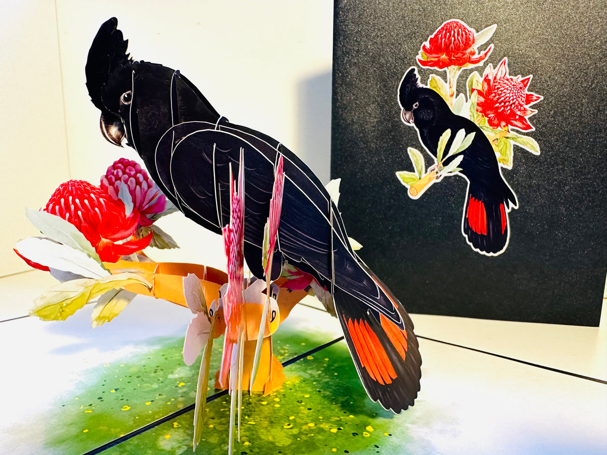 Red-Tailed Black Cockatoo with Red Waratahs - Australian Bird Origami Pop Cards 3D Pop Up Greeting Card Happy Birthday Thank You Handmade Gift Thinking of You Blank Card for Any Occasion Happy Mother's Day Happy Father's Australiana Birds