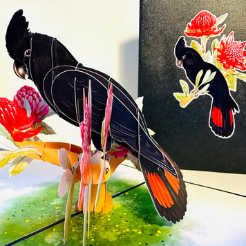 Red-Tailed Black Cockatoo with Red Waratahs - Australian Bird Origami Pop Cards 3D Pop Up Greeting Card Happy Birthday Thank You Handmade Gift Thinking of You Blank Card for Any Occasion Happy Mother's Day Happy Father's Australiana Birds