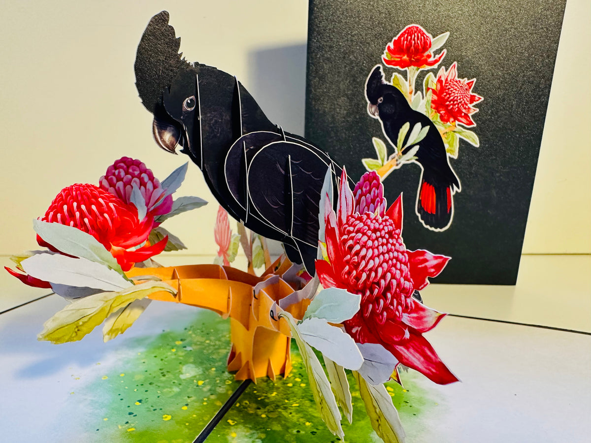 Red-Tailed Black Cockatoo with Red Waratahs - Australian Bird Origami Pop Cards 3D Pop Up Greeting Card Happy Birthday Thank You Handmade Gift Thinking of You Blank Card for Any Occasion Happy Mother's Day Happy Father's Australiana Birds