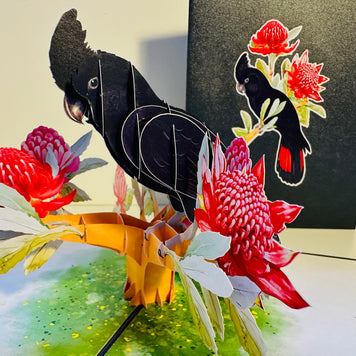 Red-Tailed Black Cockatoo with Red Waratahs - Australian Bird Origami Pop Cards 3D Pop Up Greeting Card Happy Birthday Thank You Handmade Gift Thinking of You Blank Card for Any Occasion Happy Mother's Day Happy Father's Australiana Birds