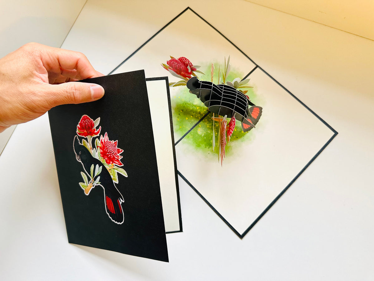 Red-Tailed Black Cockatoo with Red Waratahs - Australian Bird Origami Pop Cards 3D Pop Up Greeting Card Happy Birthday Thank You Handmade Gift Thinking of You Blank Card for Any Occasion Happy Mother's Day Happy Father's Australiana Birds