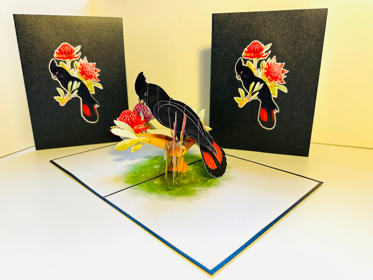 Red-Tailed Black Cockatoo with Red Waratahs - Australian Bird Origami Pop Cards 3D Pop Up Greeting Card Happy Birthday Thank You Handmade Gift Thinking of You Blank Card for Any Occasion Happy Mother's Day Happy Father's Australiana Birds