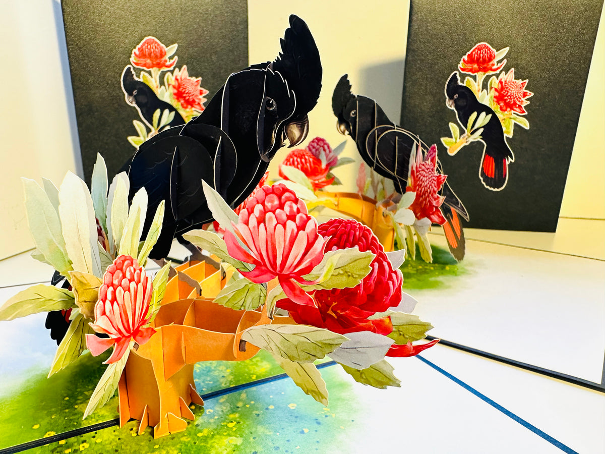 Red-Tailed Black Cockatoo with Red Waratahs - Australian Bird Origami Pop Cards 3D Pop Up Greeting Card Happy Birthday Thank You Handmade Gift Thinking of You Blank Card for Any Occasion Happy Mother's Day Happy Father's Australiana Birds