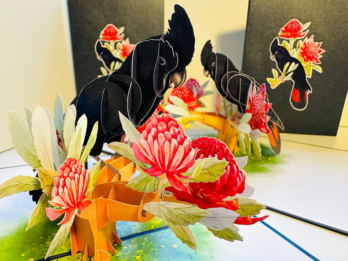 Red-Tailed Black Cockatoo with Red Waratahs - Australian Bird Origami Pop Cards 3D Pop Up Greeting Card Happy Birthday Thank You Handmade Gift Thinking of You Blank Card for Any Occasion Happy Mother's Day Happy Father's Australiana Birds