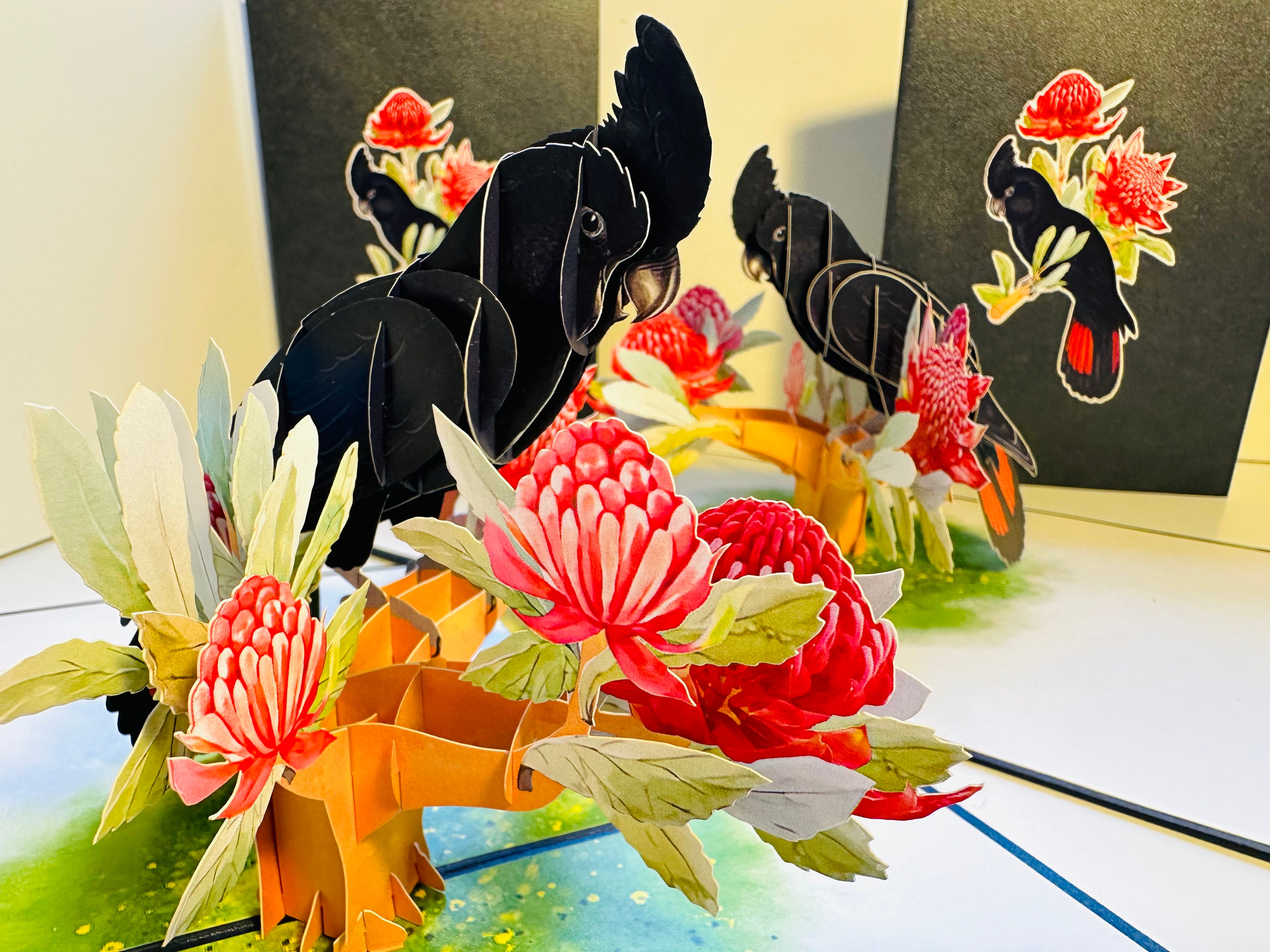 Red-Tailed Black Cockatoo with Red Waratahs - Australian Bird Origami Pop Cards 3D Pop Up Greeting Card Happy Birthday Thank You Handmade Gift Thinking of You Blank Card for Any Occasion Happy Mother's Day Happy Father's Australiana Birds