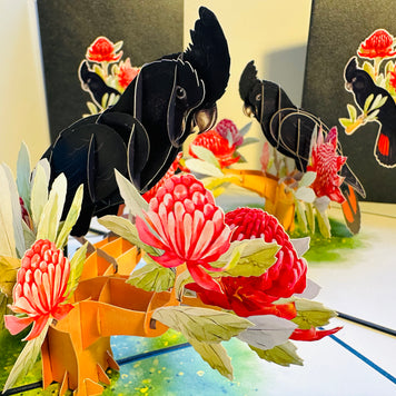 Red-Tailed Black Cockatoo with Red Waratahs - Australian Bird Origami Pop Cards 3D Pop Up Greeting Card Happy Birthday Thank You Handmade Gift Thinking of You Blank Card for Any Occasion Happy Mother's Day Happy Father's Australiana Birds