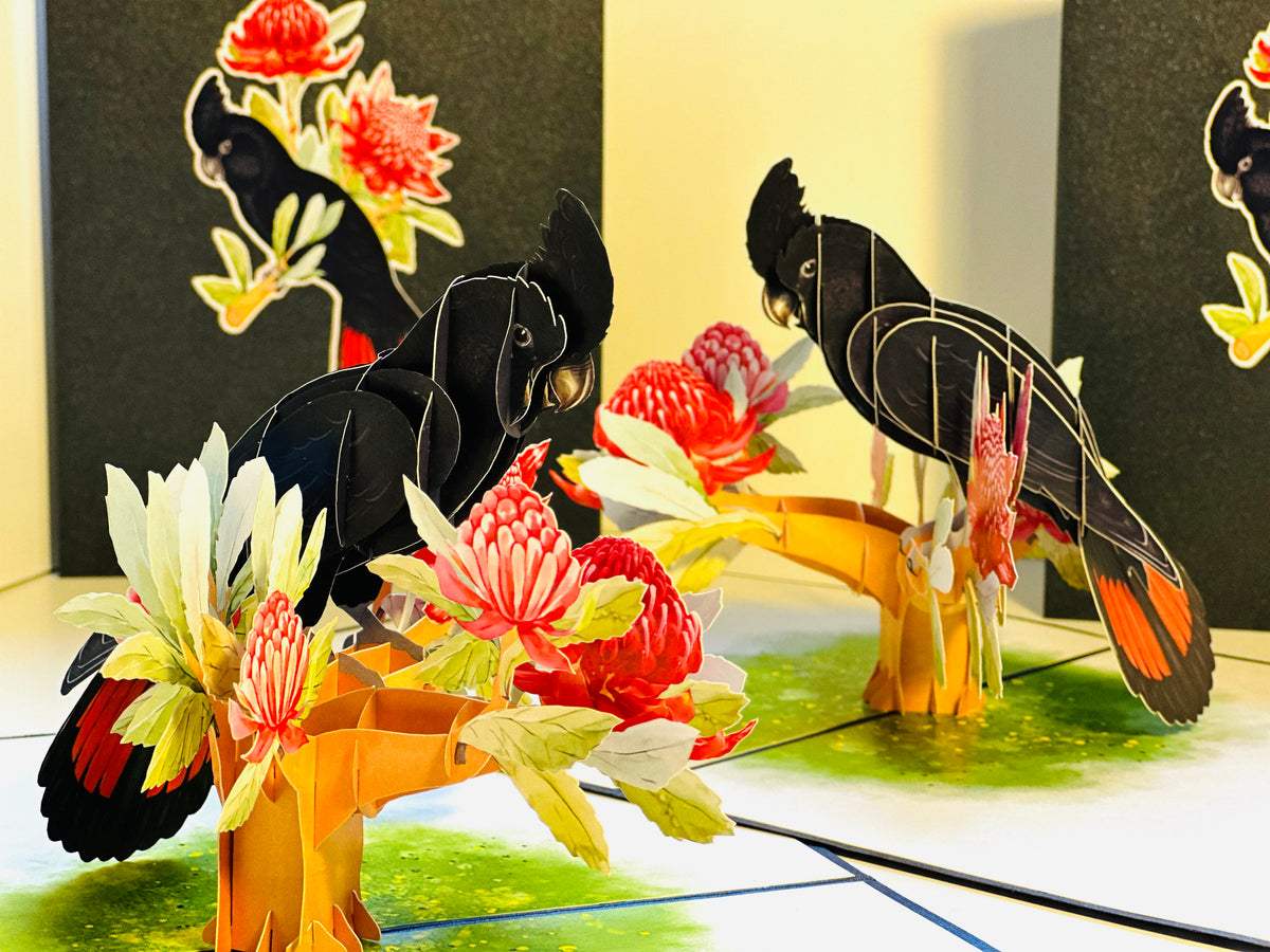 Red-Tailed Black Cockatoo with Red Waratahs - Australian Bird Origami Pop Cards 3D Pop Up Greeting Card Happy Birthday Thank You Handmade Gift Thinking of You Blank Card for Any Occasion Happy Mother's Day Happy Father's Australiana Birds