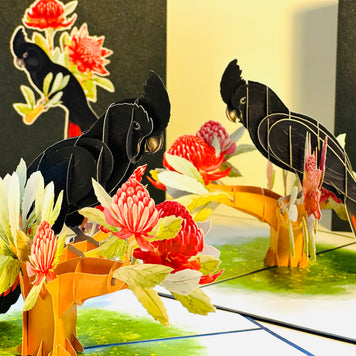 Red-Tailed Black Cockatoo with Red Waratahs - Australian Bird Origami Pop Cards 3D Pop Up Greeting Card Happy Birthday Thank You Handmade Gift Thinking of You Blank Card for Any Occasion Happy Mother's Day Happy Father's Australiana Birds