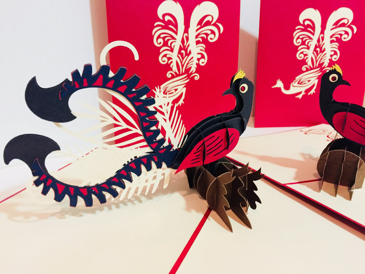Lyrebird Australian Native Bird Origami Pop Cards 3D Pop Up Greeting Card Happy Birthday Thank You Handmade Gift Thinking of You Blank Card for Any Occasion Happy Mother's Day Happy Father's Australiana Birds
