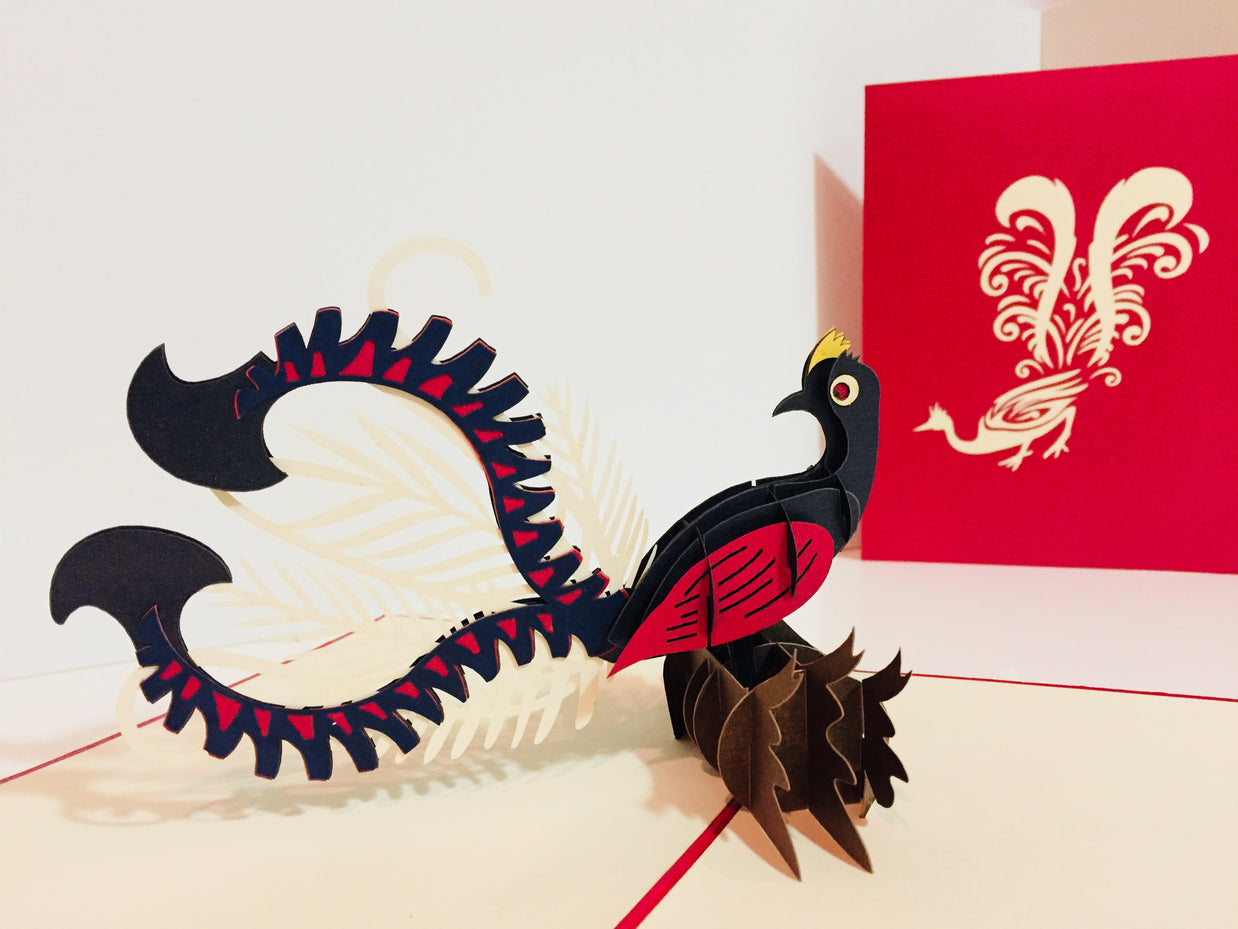 Lyrebird Australian Native Bird Origami Pop Cards 3D Pop Up Greeting Card Happy Birthday Thank You Handmade Gift Thinking of You Blank Card for Any Occasion Happy Mother's Day Happy Father's Australiana Birds