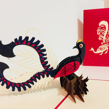 Lyrebird Australian Native Bird Origami Pop Cards 3D Pop Up Greeting Card Happy Birthday Thank You Handmade Gift Thinking of You Blank Card for Any Occasion Happy Mother's Day Happy Father's Australiana Birds