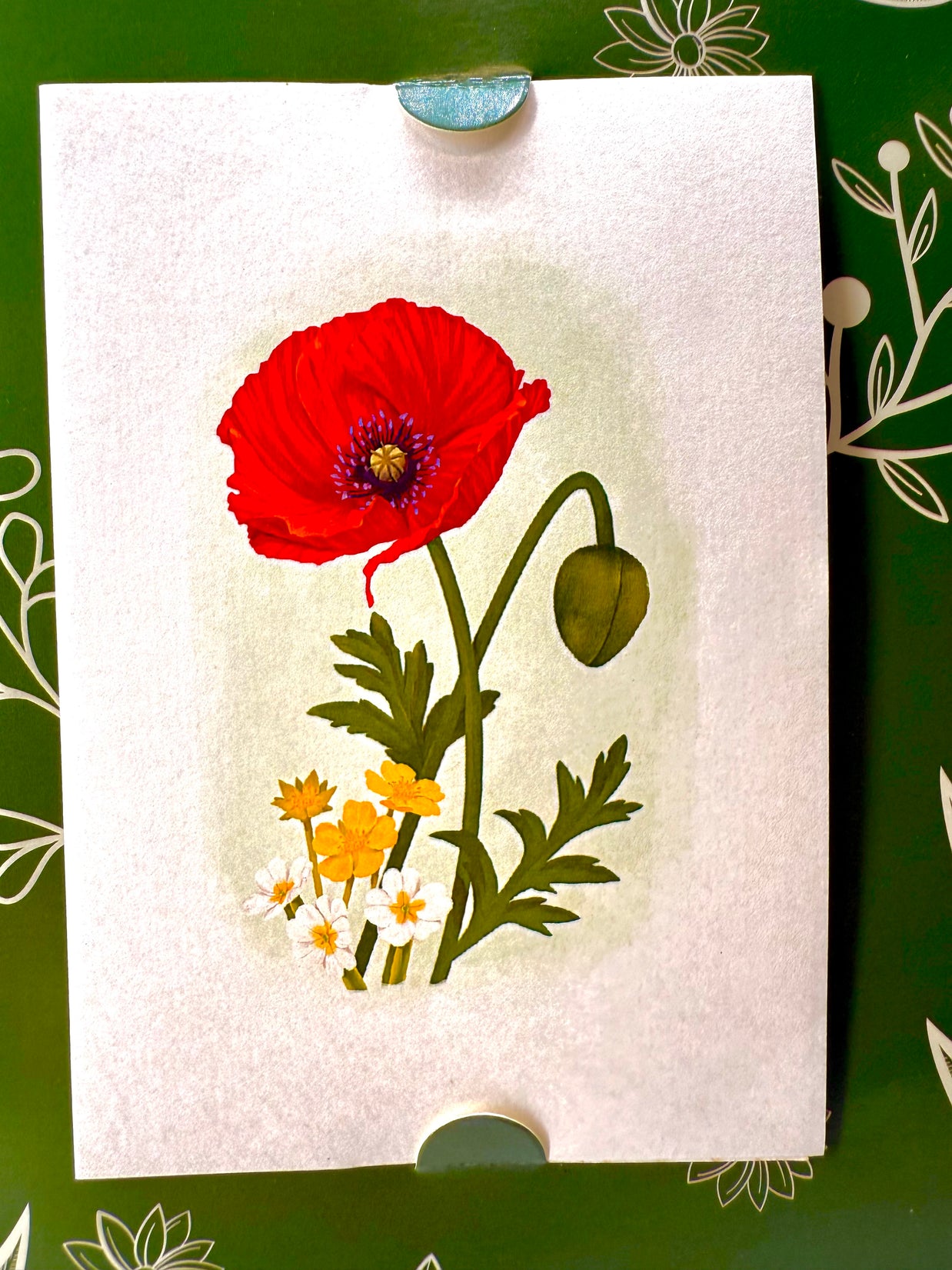 Red Poppy 3D Pop Up Flower Bouquet - Anzac & Remembrance Day Origami Pop Cards 3D Pop Up Greeting Card Happy Birthday Thank You Handmade Gift Thinking of You Blank Card for Any Occasion Happy Mother's Day Happy Father's Australiana Celebrate the Beauty