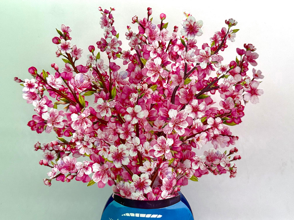 Sakura Pink Cherry Blossom 3D Pop-Up Flower Bouquet Origami Pop Cards 3D Pop Up Greeting Card Happy Birthday Thank You Handmade Gift Thinking of You Blank Card for Any Occasion Happy Mother's Day Happy Father's Australiana Celebrate