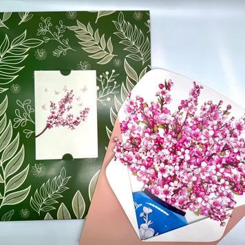 Sakura Pink Cherry Blossom 3D Pop-Up Flower Bouquet Origami Pop Cards 3D Pop Up Greeting Card Happy Birthday Thank You Handmade Gift Thinking of You Blank Card for Any Occasion Happy Mother's Day Happy Father's Australiana Celebrate