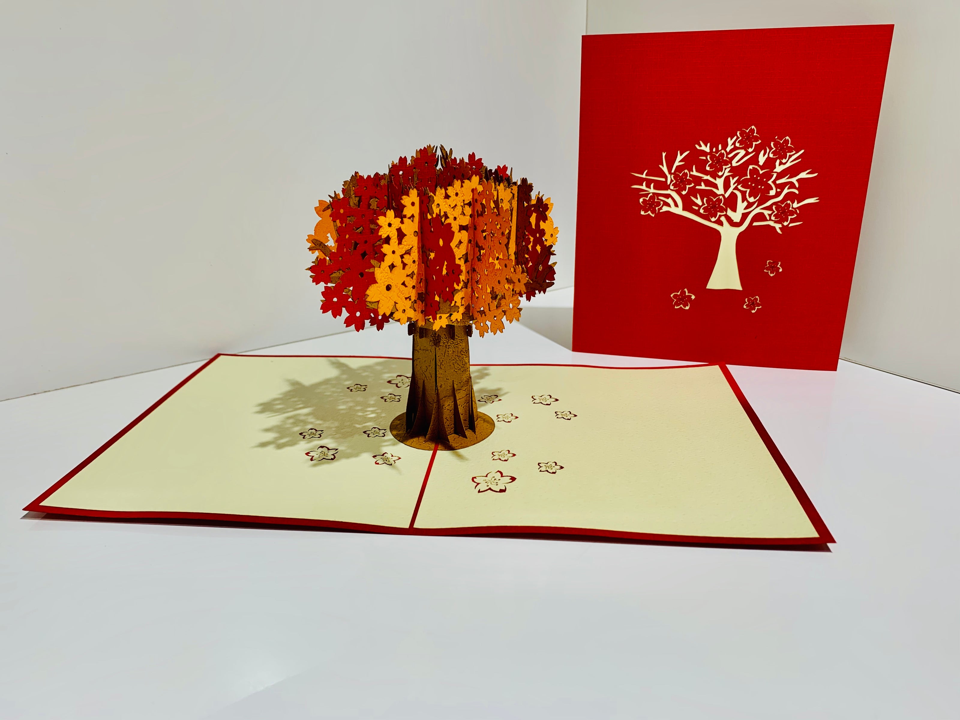 Sakura Cherry Blossom Tree in Orange/Red Autumn Colours Origami Pop Cards 3D Pop Up Greeting Card Happy Birthday Thank You Handmade Gift Thinking of You Blank Card for Any Occasion Happy Mother's Day Happy Father's Australiana Celebrate
