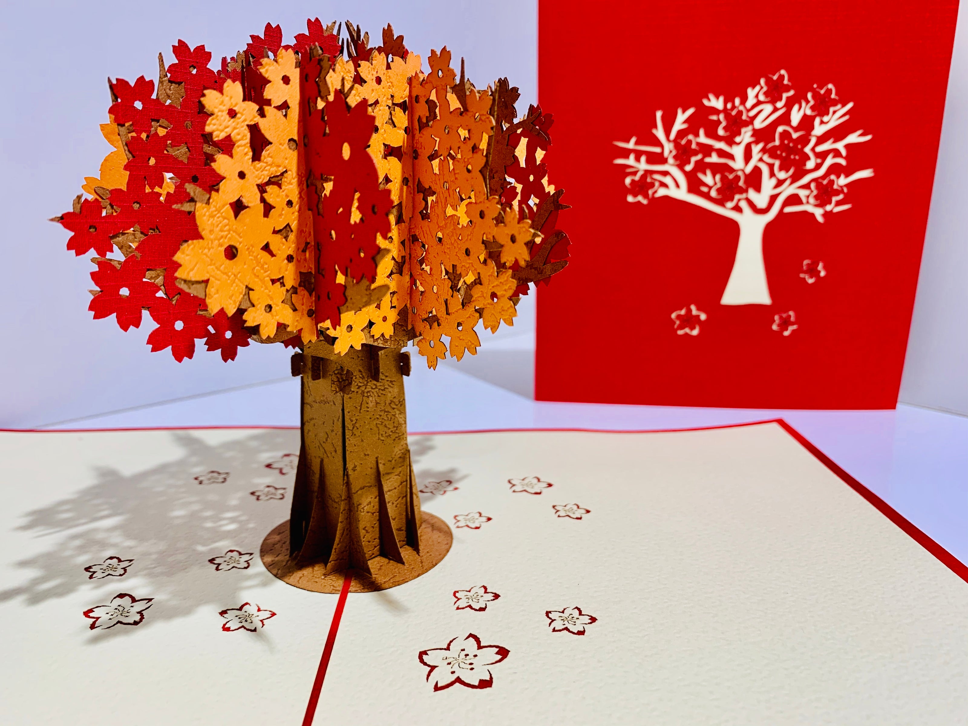 Sakura Cherry Blossom Tree in Orange/Red Autumn Colours Origami Pop Cards 3D Pop Up Greeting Card Happy Birthday Thank You Handmade Gift Thinking of You Blank Card for Any Occasion Happy Mother's Day Happy Father's Australiana Celebrate