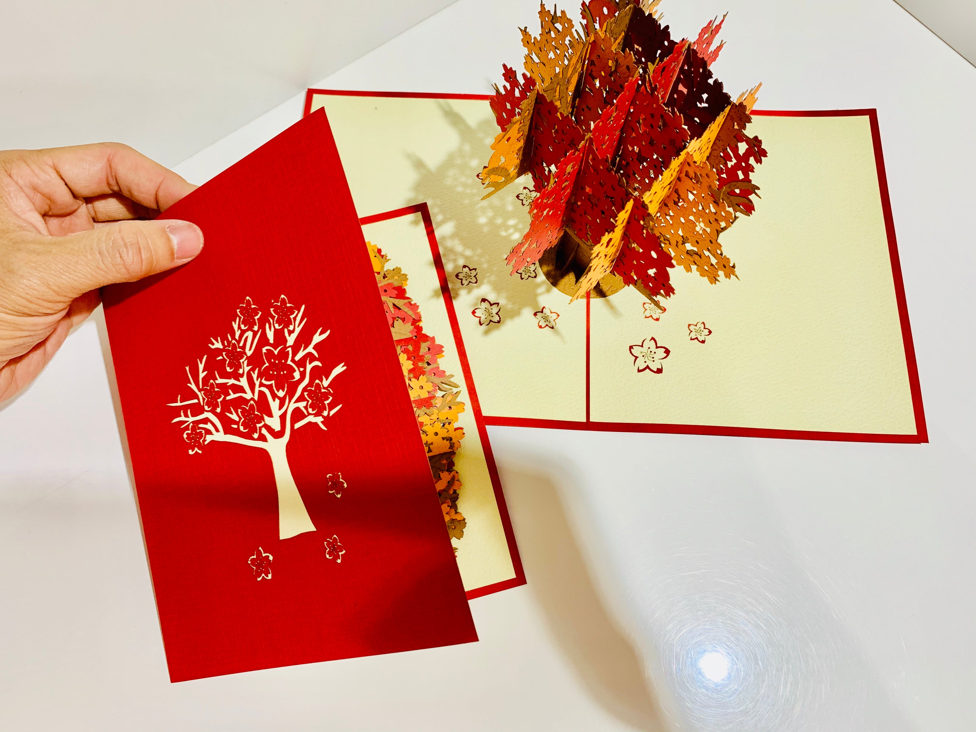 Sakura Cherry Blossom Tree in Orange/Red Autumn Colours Origami Pop Cards 3D Pop Up Greeting Card Happy Birthday Thank You Handmade Gift Thinking of You Blank Card for Any Occasion Happy Mother's Day Happy Father's Australiana Celebrate