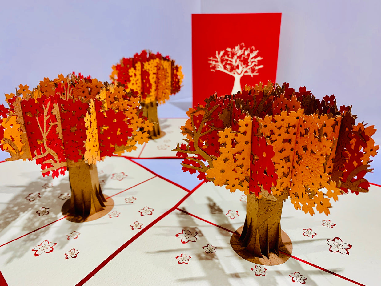 Sakura Cherry Blossom Tree in Orange/Red Autumn Colours Origami Pop Cards 3D Pop Up Greeting Card Happy Birthday Thank You Handmade Gift Thinking of You Blank Card for Any Occasion Happy Mother's Day Happy Father's Australiana Celebrate