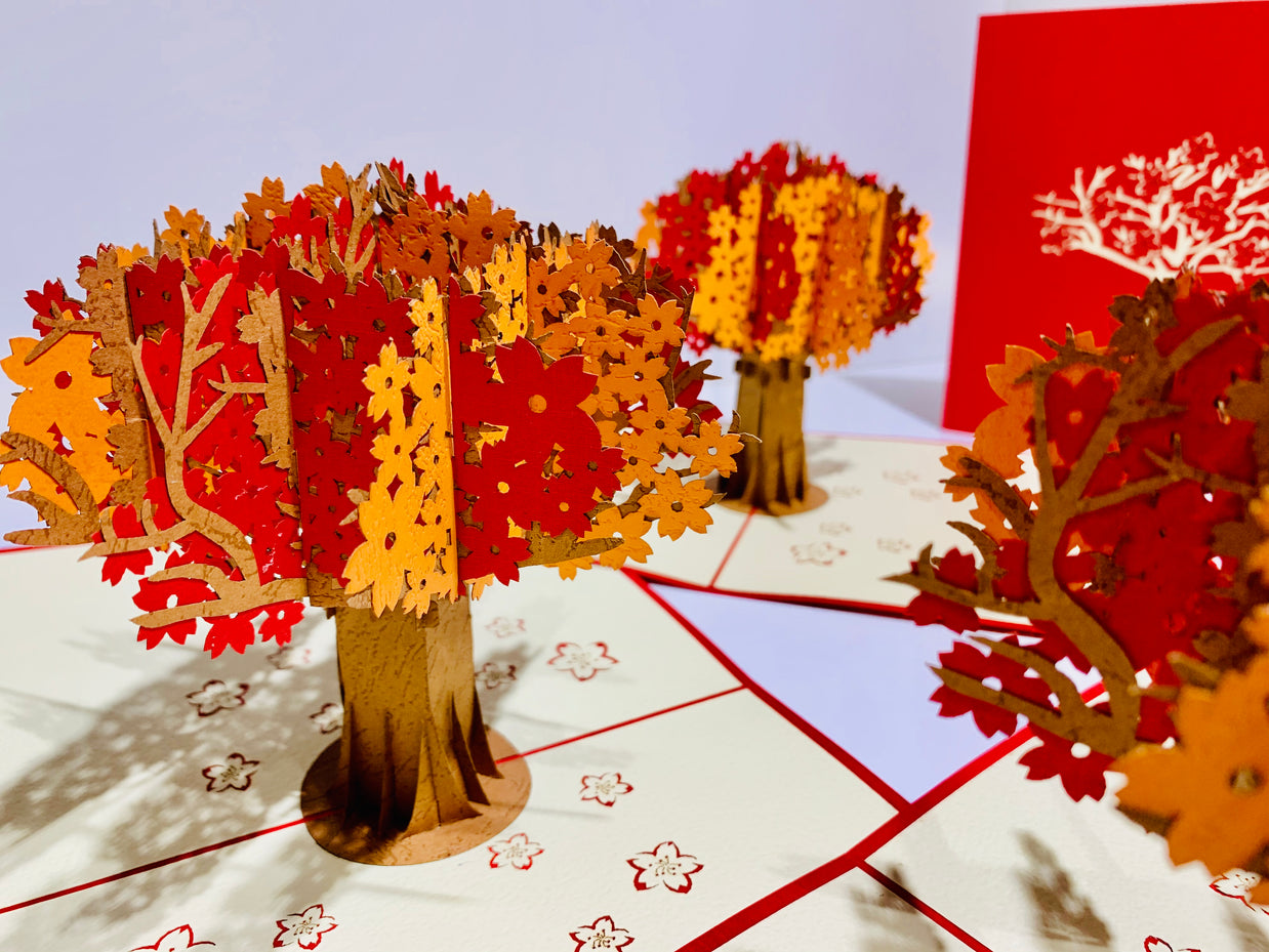 Sakura Cherry Blossom Tree in Orange/Red Autumn Colours Origami Pop Cards 3D Pop Up Greeting Card Happy Birthday Thank You Handmade Gift Thinking of You Blank Card for Any Occasion Happy Mother's Day Happy Father's Australiana Celebrate