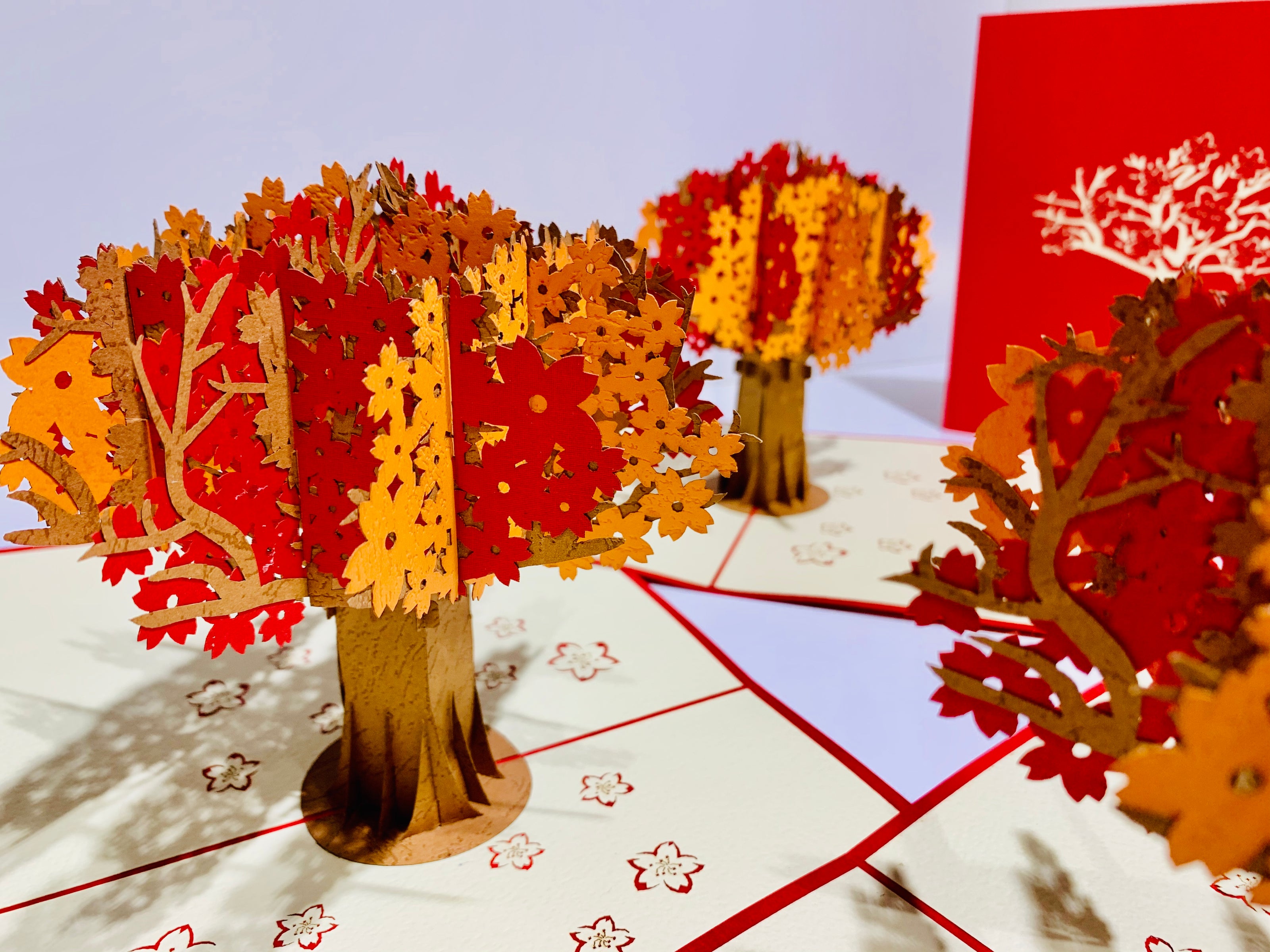 Sakura Cherry Blossom Tree in Orange/Red Autumn Colours Origami Pop Cards 3D Pop Up Greeting Card Happy Birthday Thank You Handmade Gift Thinking of You Blank Card for Any Occasion Happy Mother's Day Happy Father's Australiana Celebrate