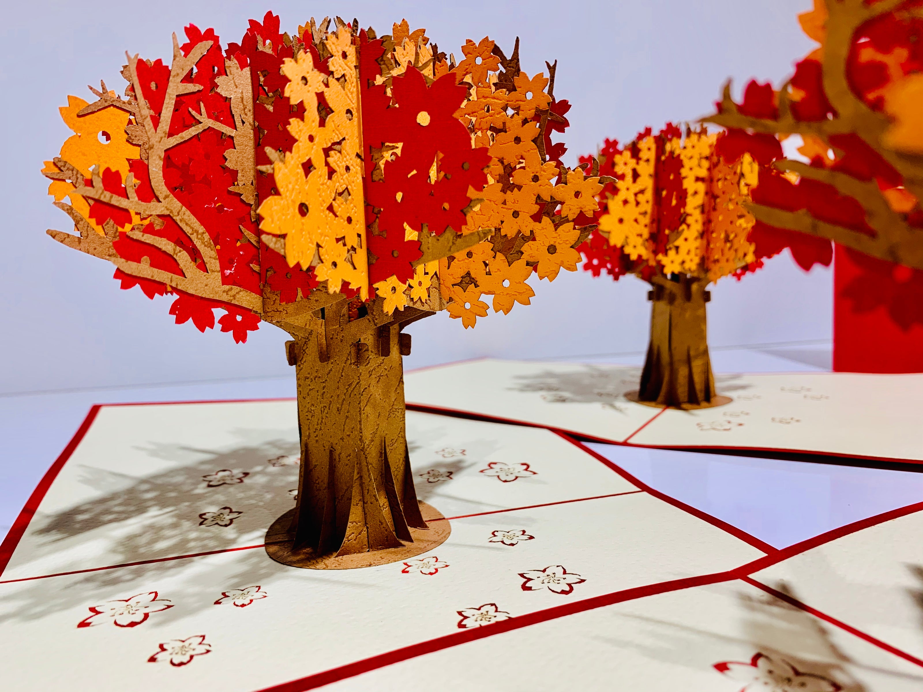 Sakura Cherry Blossom Tree in Orange/Red Autumn Colours Origami Pop Cards 3D Pop Up Greeting Card Happy Birthday Thank You Handmade Gift Thinking of You Blank Card for Any Occasion Happy Mother's Day Happy Father's Australiana Celebrate