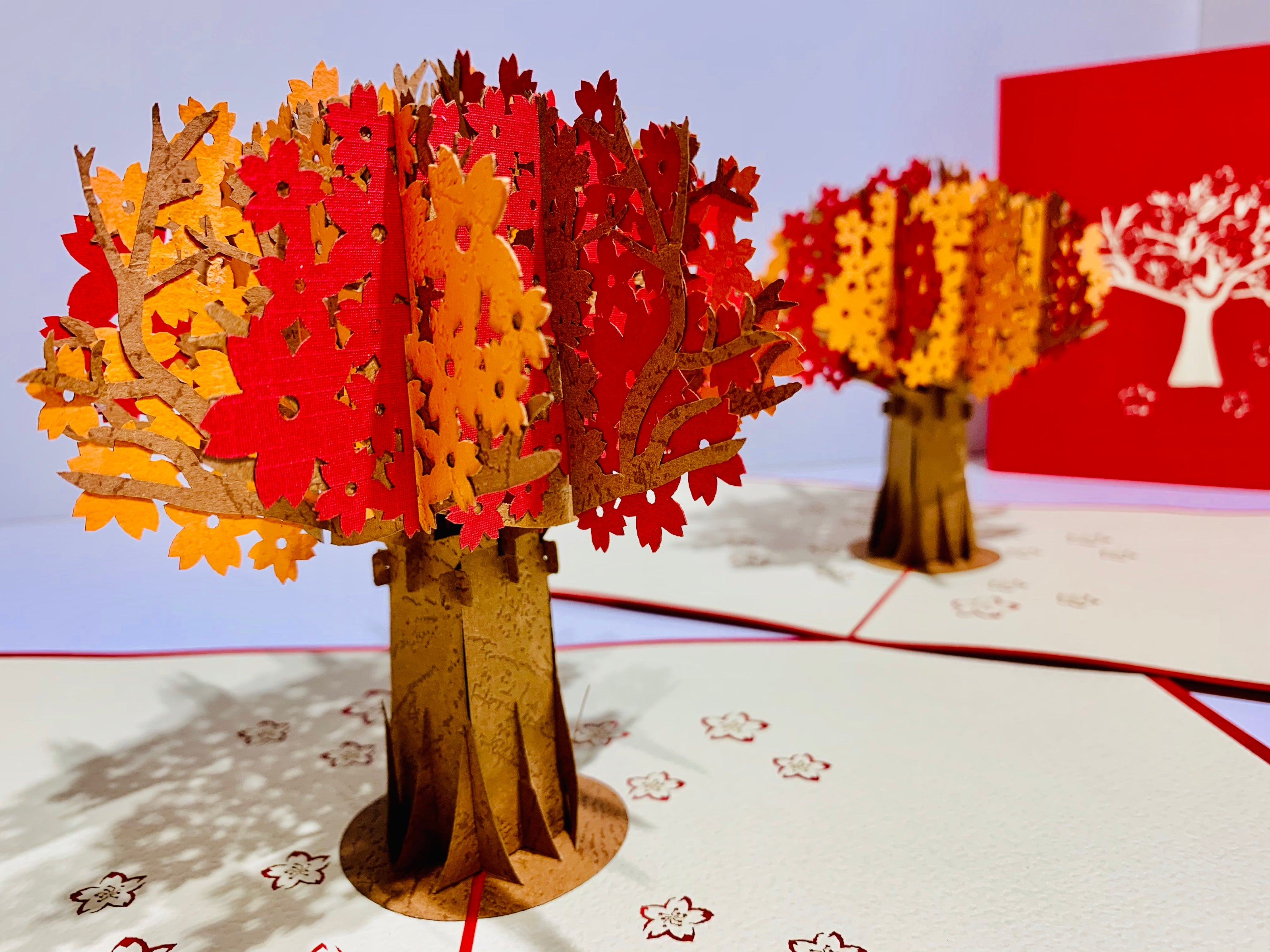 Sakura Cherry Blossom Tree in Orange/Red Autumn Colours Origami Pop Cards 3D Pop Up Greeting Card Happy Birthday Thank You Handmade Gift Thinking of You Blank Card for Any Occasion Happy Mother's Day Happy Father's Australiana Celebrate