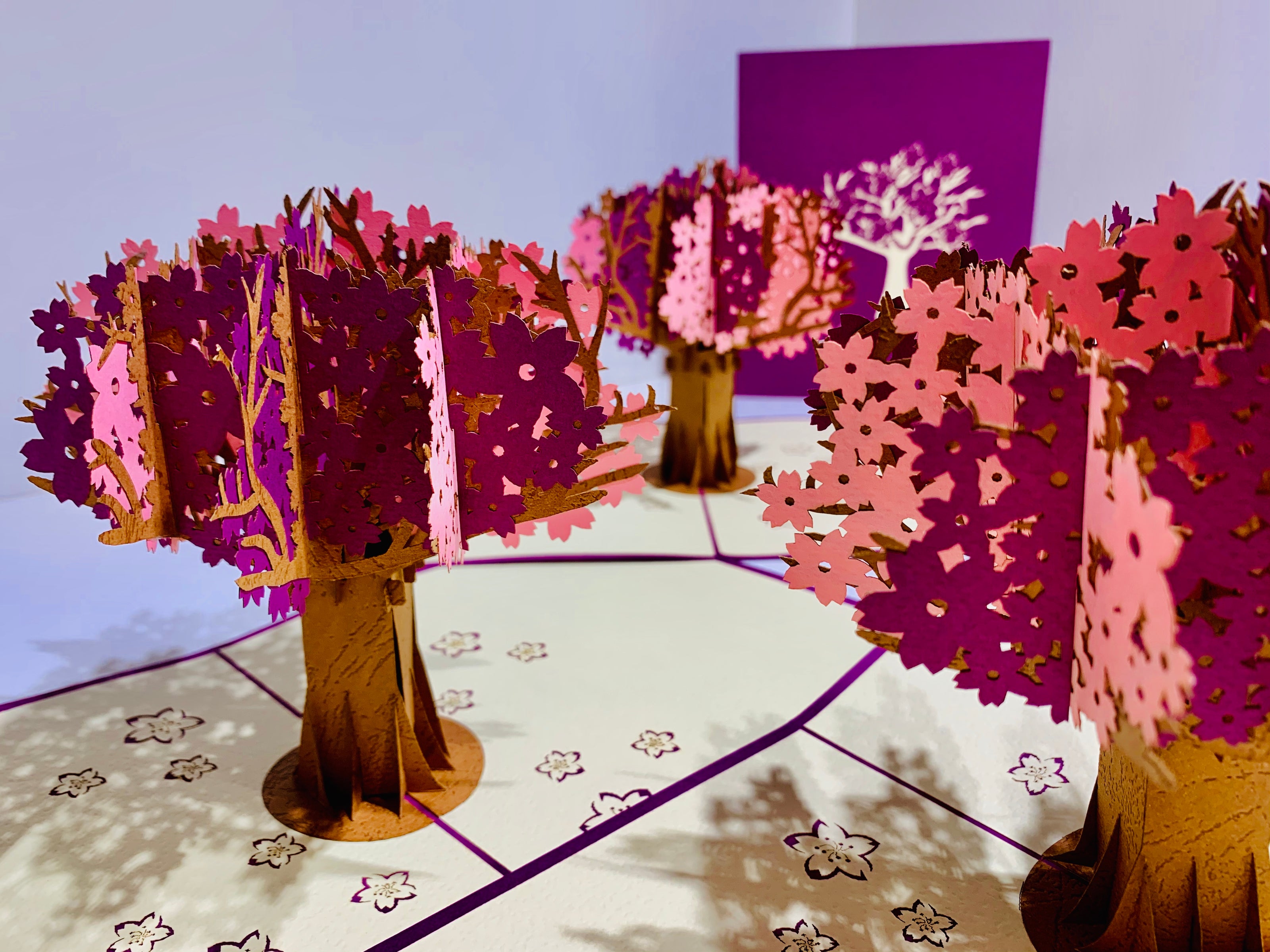 Sakura Cherry Blossom Tree in Pink & Purple Spring Colours Origami Pop Cards 3D Pop Up Greeting Card Happy Birthday Thank You Handmade Gift Thinking of You Blank Card for Any Occasion Happy Mother's Day Happy Father's Australiana Celebrate