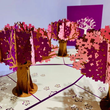 Sakura Cherry Blossom Tree in Pink & Purple Spring Colours Origami Pop Cards 3D Pop Up Greeting Card Happy Birthday Thank You Handmade Gift Thinking of You Blank Card for Any Occasion Happy Mother's Day Happy Father's Australiana Celebrate