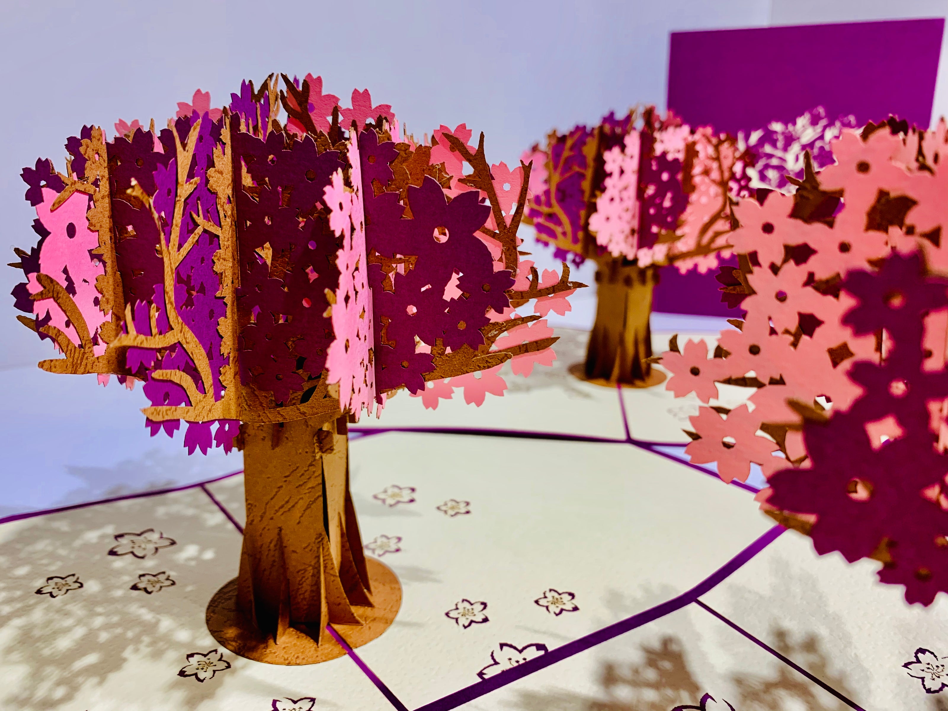 Sakura Cherry Blossom Tree in Pink & Purple Spring Colours Origami Pop Cards 3D Pop Up Greeting Card Happy Birthday Thank You Handmade Gift Thinking of You Blank Card for Any Occasion Happy Mother's Day Happy Father's Australiana Celebrate