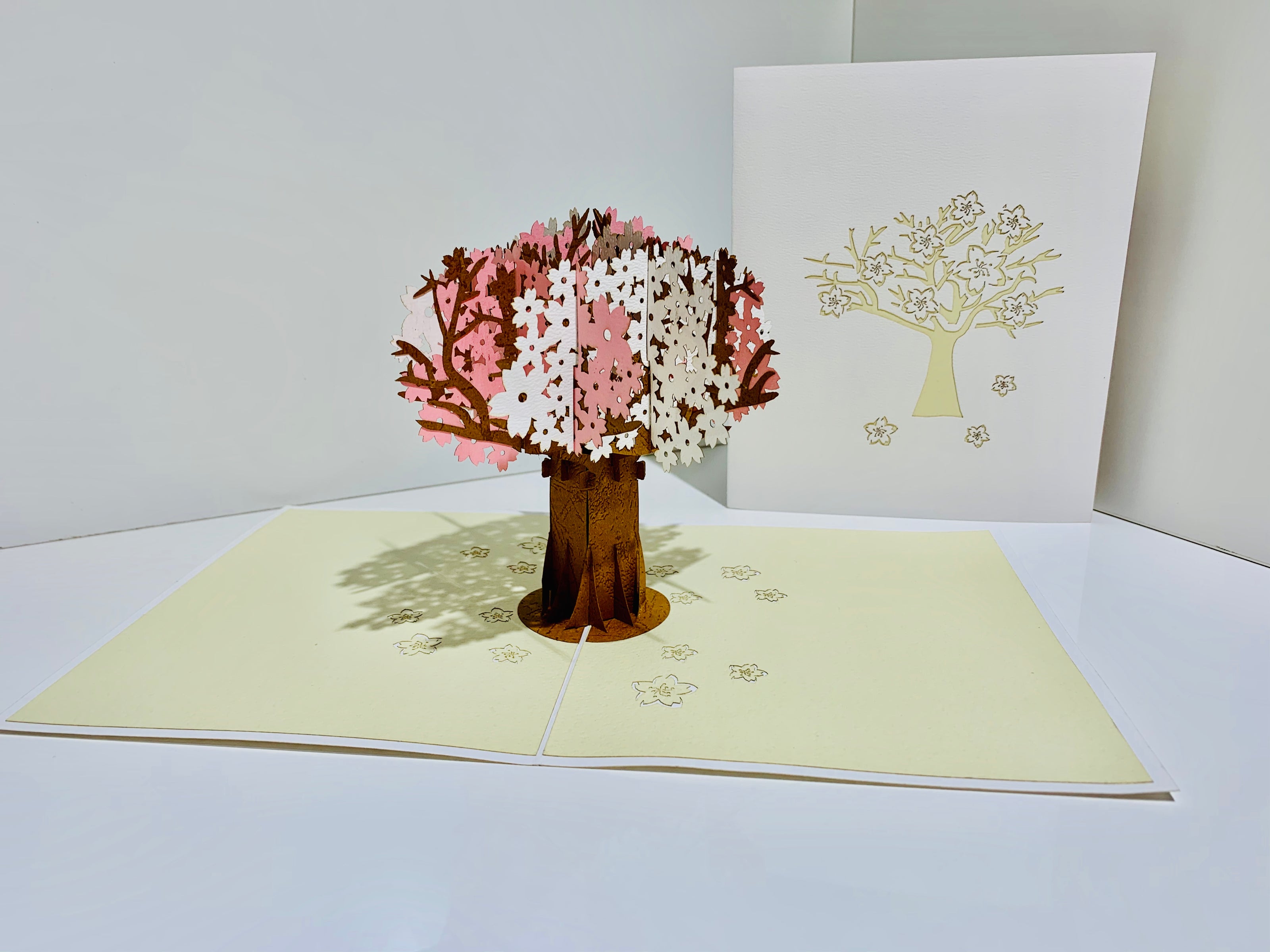 Sakura Cherry Blossom Tree in Pink & White Spring Colours Origami Pop Cards 3D Pop Up Greeting Card Happy Birthday Thank You Handmade Gift Thinking of You Blank Card for Any Occasion Happy Mother's Day Happy Father's Australiana Celebrate