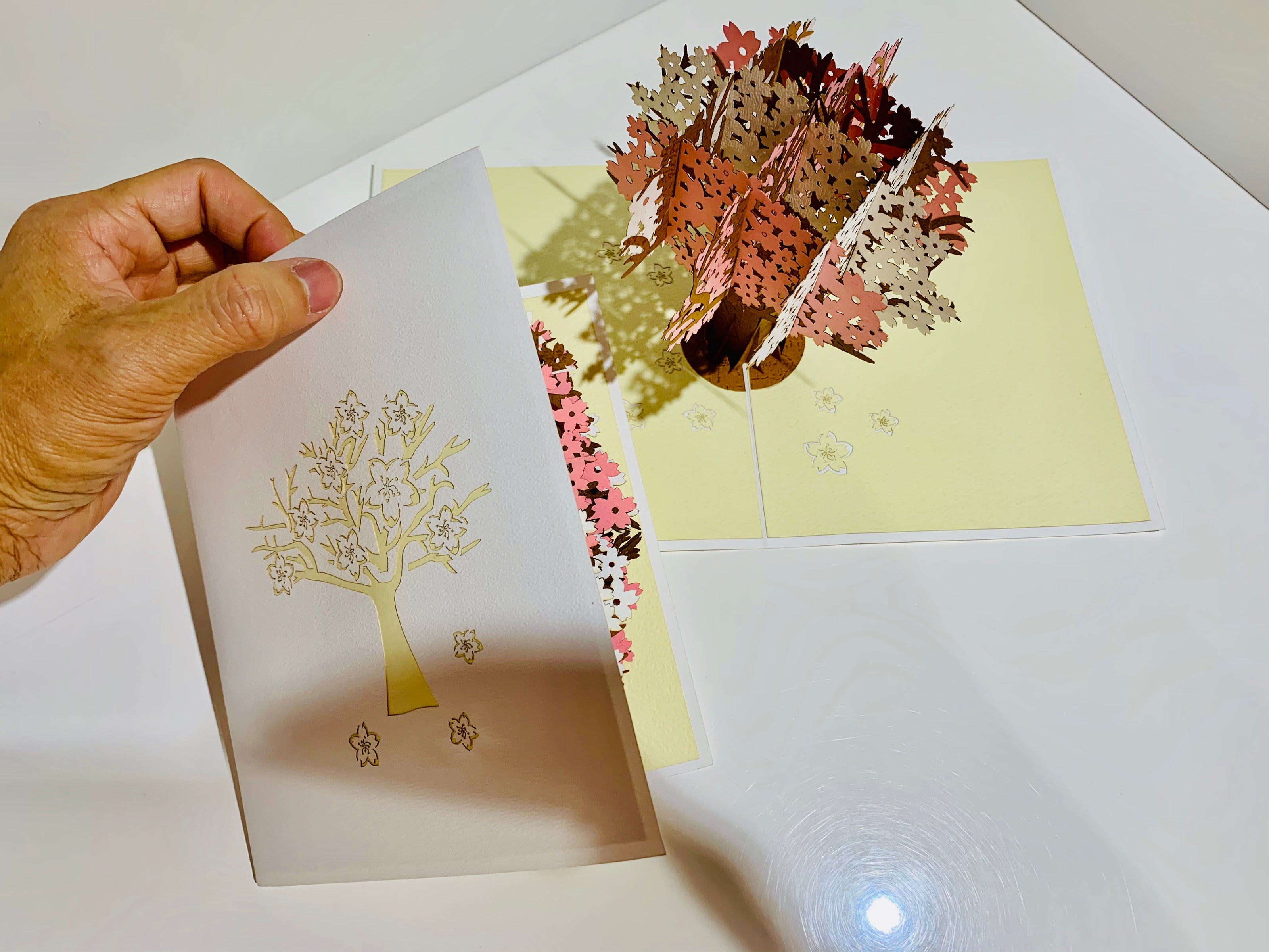 Sakura Cherry Blossom Tree in Pink & White Spring Colours Origami Pop Cards 3D Pop Up Greeting Card Happy Birthday Thank You Handmade Gift Thinking of You Blank Card for Any Occasion Happy Mother's Day Happy Father's Australiana Celebrate