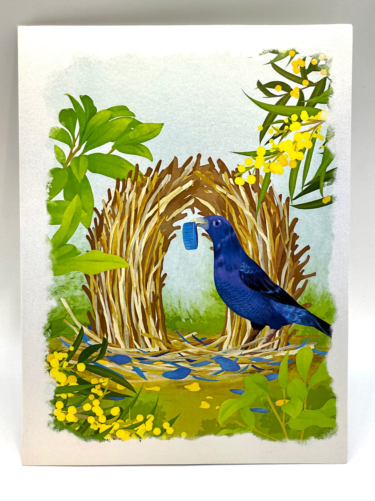 Satin Bowerbird - Australia's Unique Wildlife Origami Pop Cards 3D Pop Up Greeting Card Celebrate Happy Birthday Thank You Handmade Best Wishes Gift Thinking of You Blank Card for Any Occasion Happy Mother's Day Happy Father's Day Australiana Nature