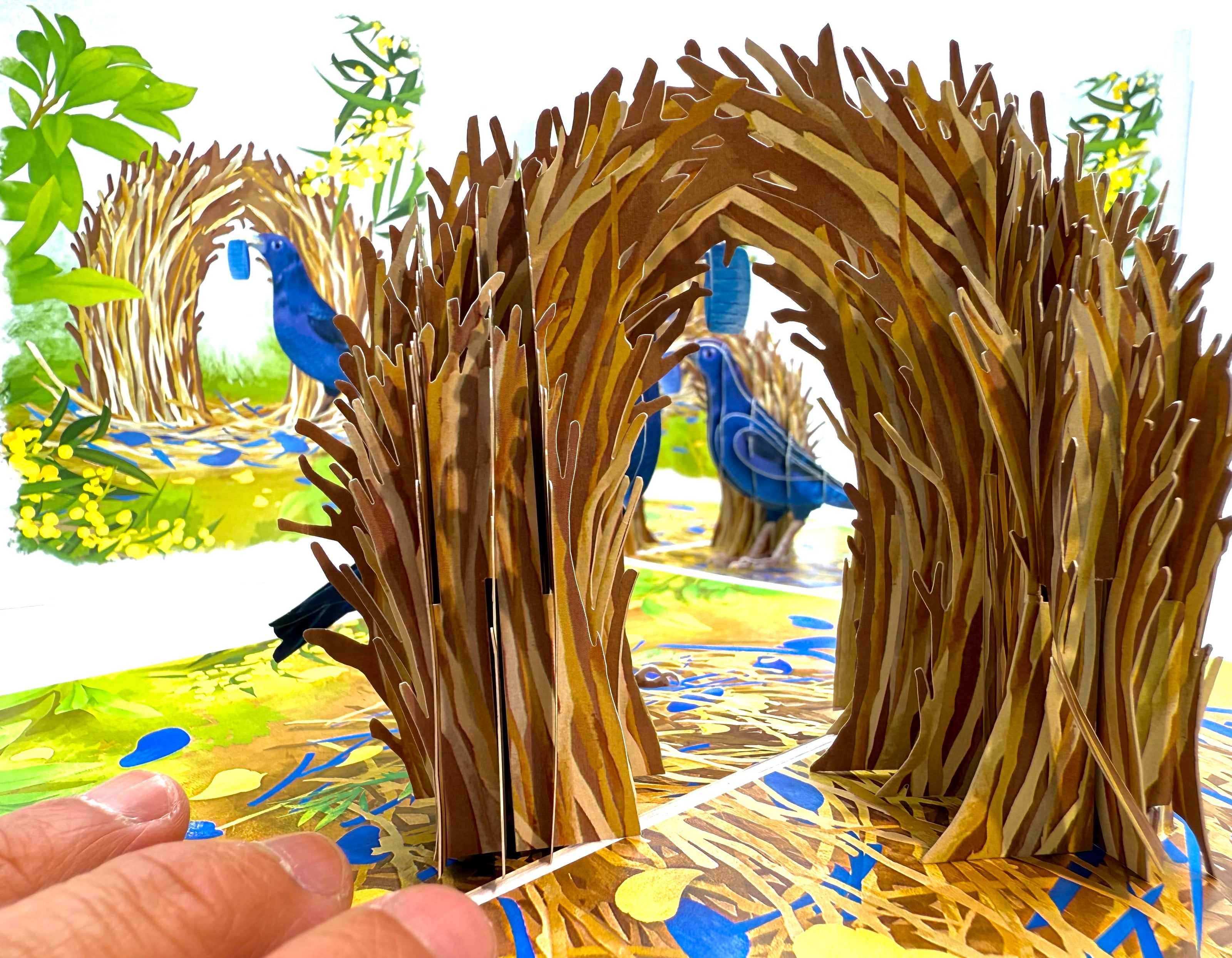 Satin Bowerbird - Australia's Unique Wildlife Origami Pop Cards 3D Pop Up Greeting Card Celebrate Happy Birthday Thank You Handmade Best Wishes Gift Thinking of You Blank Card for Any Occasion Happy Mother's Day Happy Father's Day Australiana Nature