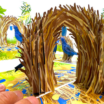 Satin Bowerbird - Australia's Unique Wildlife Origami Pop Cards 3D Pop Up Greeting Card Celebrate Happy Birthday Thank You Handmade Best Wishes Gift Thinking of You Blank Card for Any Occasion Happy Mother's Day Happy Father's Day Australiana Nature
