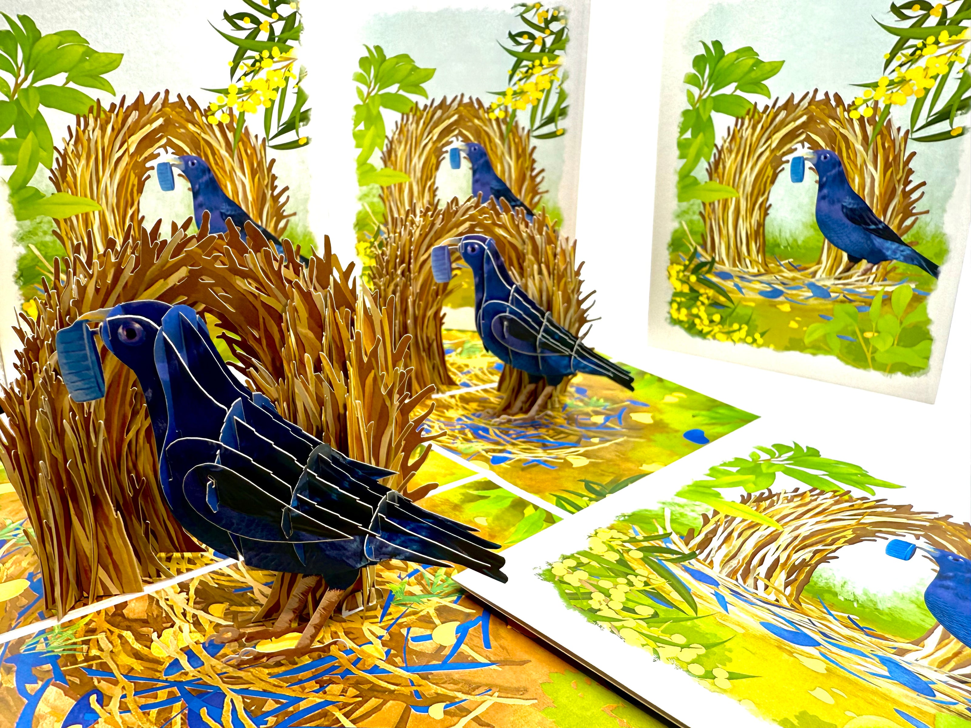 Satin Bowerbird - Australia's Unique Wildlife Origami Pop Cards 3D Pop Up Greeting Card Celebrate Happy Birthday Thank You Handmade Best Wishes Gift Thinking of You Blank Card for Any Occasion Happy Mother's Day Happy Father's Day Australiana Nature
